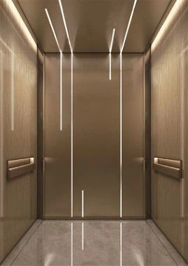 Elegante 450kg kleine passagierslift
