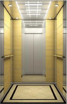 MRL tractielift